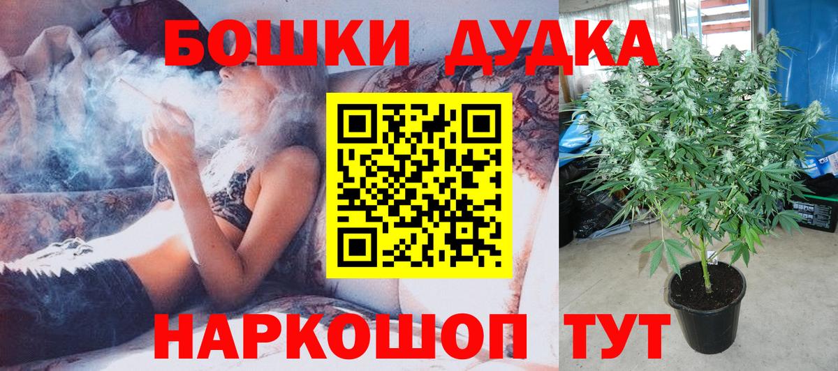 Конопля планчик Ишим